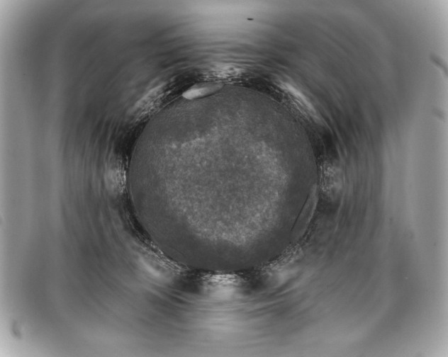 X0000098010324200804071334