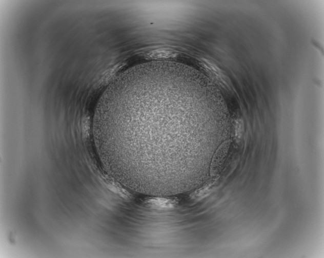 X0000098010326200804071334