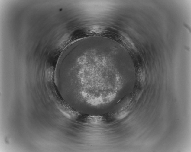 X0000098010328200804071334