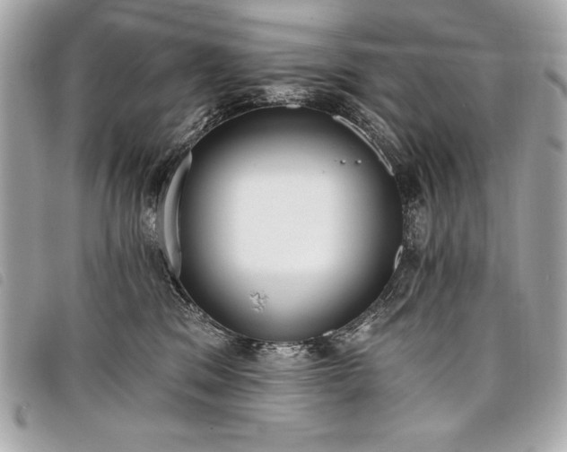 X0000098010329200804071334