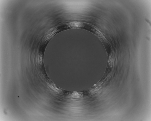 X0000098010330200804071334