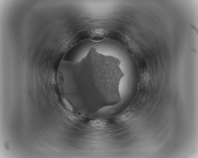 X0000098010331200804071334