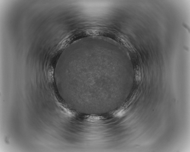 X0000098010332200804071334