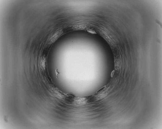 X0000098010334200804071334