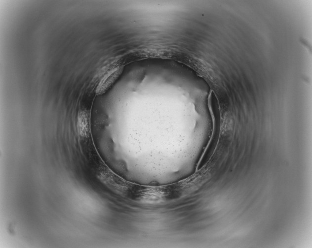 X0000098010335200804071334