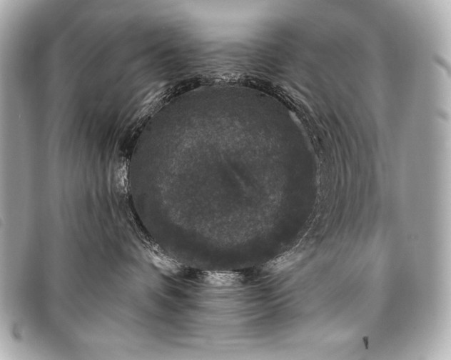 X0000098010336200804071334