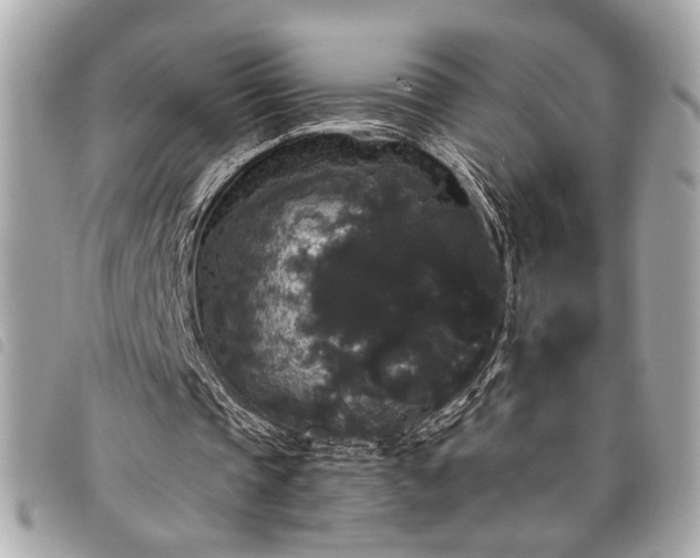 X0000098010337200804071333