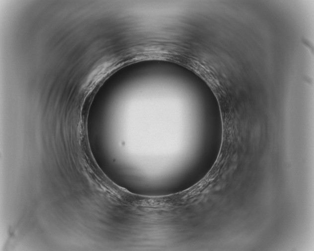 X0000098010338200804071333