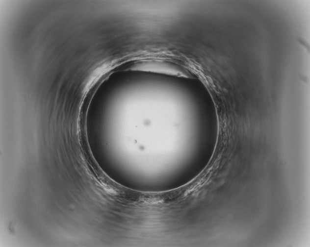 X0000098010340200804071333