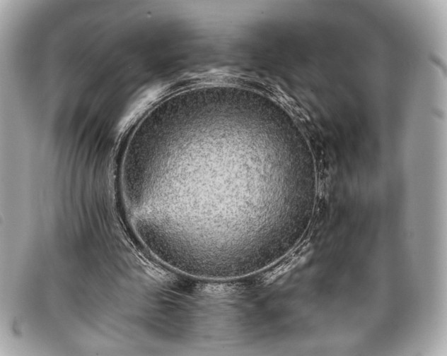 X0000098010341200804071333