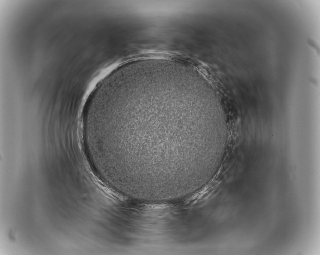 X0000098010342200804071333