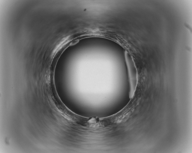 X0000098010344200804071333