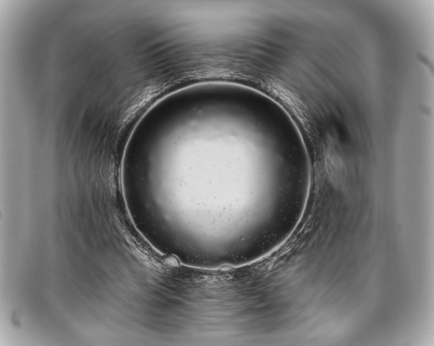 X0000098010345200804071333