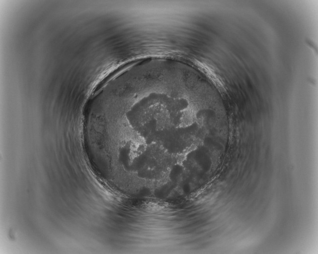 X0000098010346200804071333