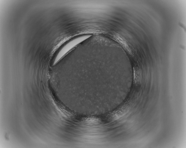 X0000098010348200804071333