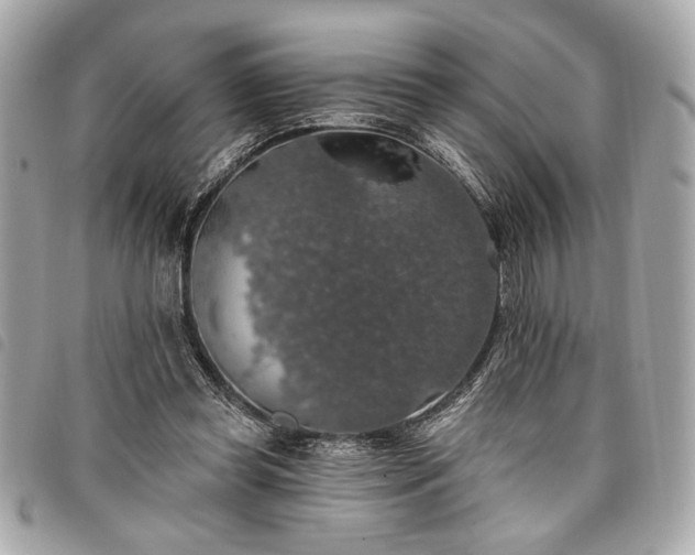 X0000098010349200804071333