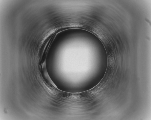 X0000098010350200804071333