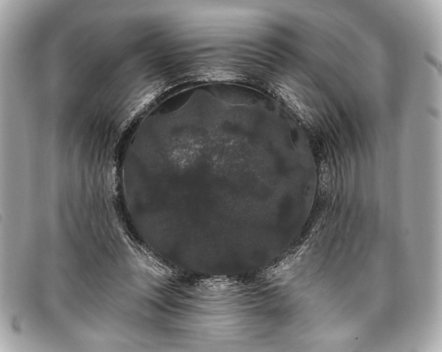 X0000098010351200804071333