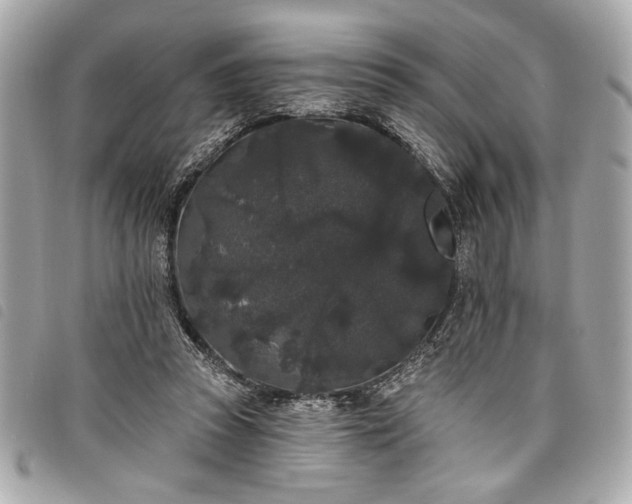 X0000098010353200804071333