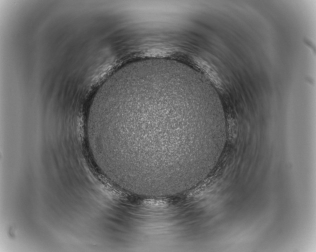 X0000098010354200804071333