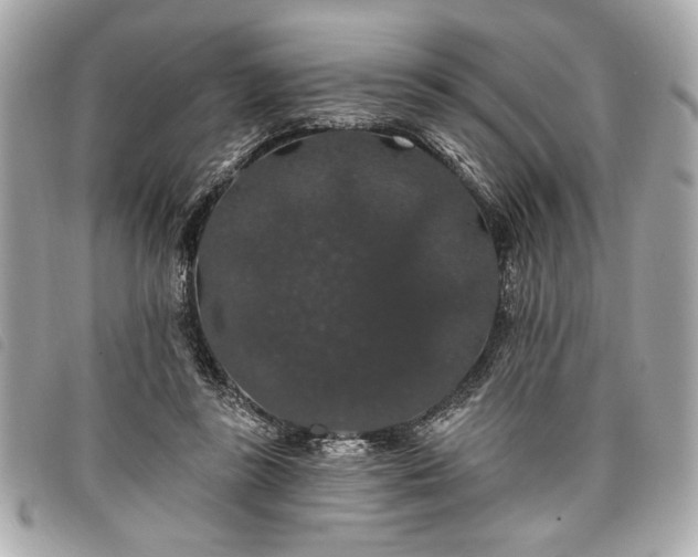 X0000098010355200804071333