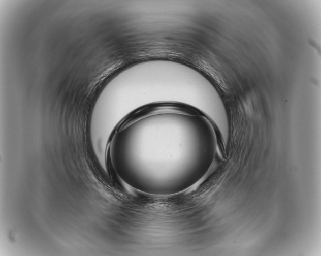 X0000098010356200804071333