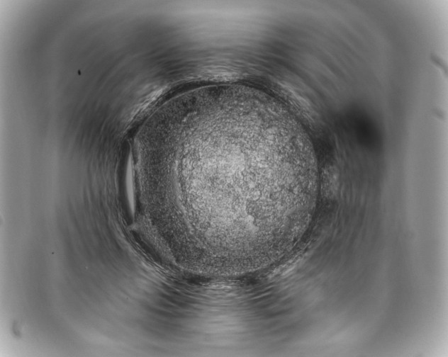 X0000098010358200804071333