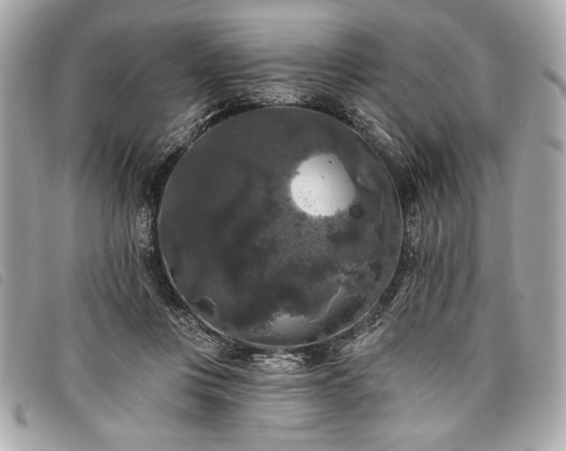 X0000098010359200804071334