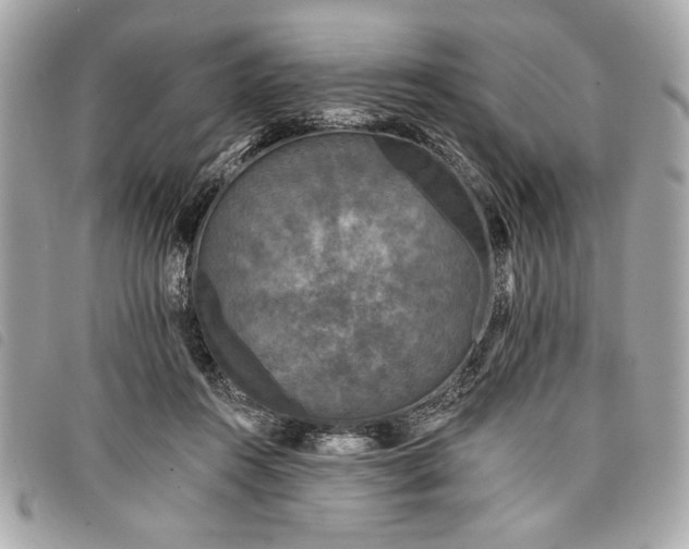 X0000098010360200804071334