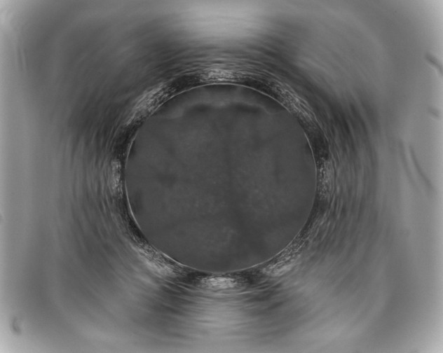 X0000098010361200804071334