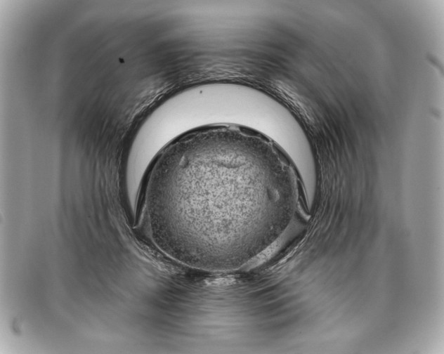 X0000098010362200804071334