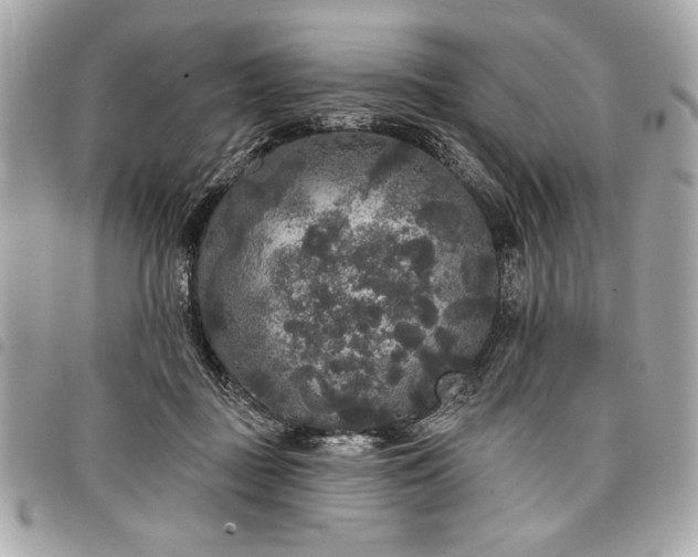 X0000098010363200804071334