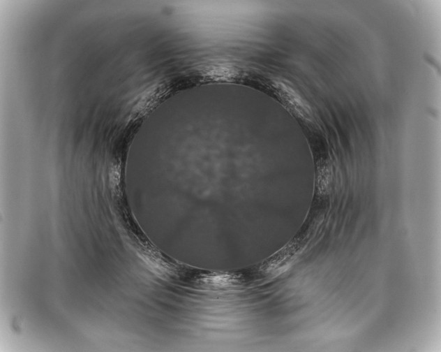 X0000098010365200804071334