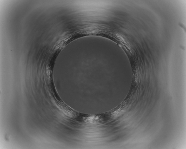 X0000098010366200804071334