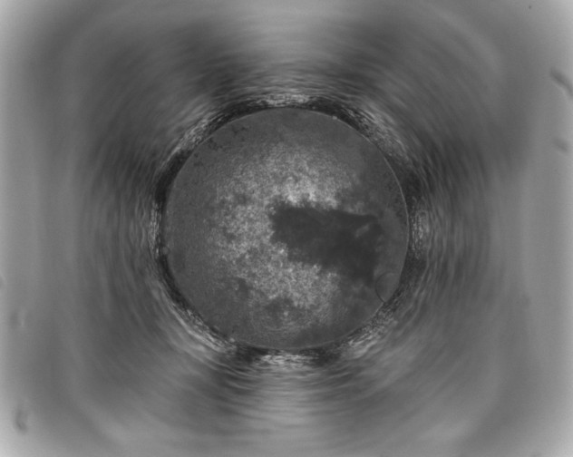 X0000098010367200804071334