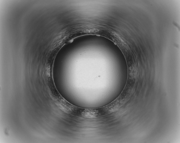 X0000098010368200804071334