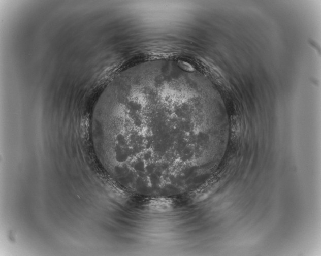 X0000098010369200804071334