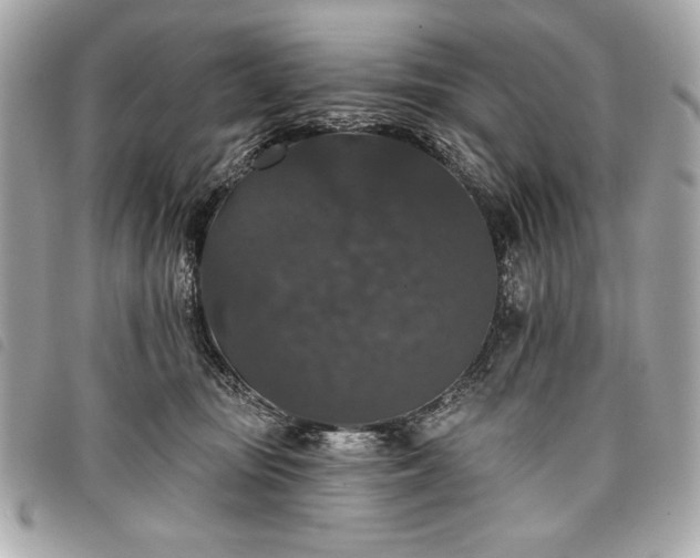 X0000098010371200804071334