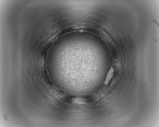 X0000098010372200804071334