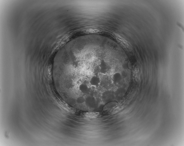 X0000098010373200804071334