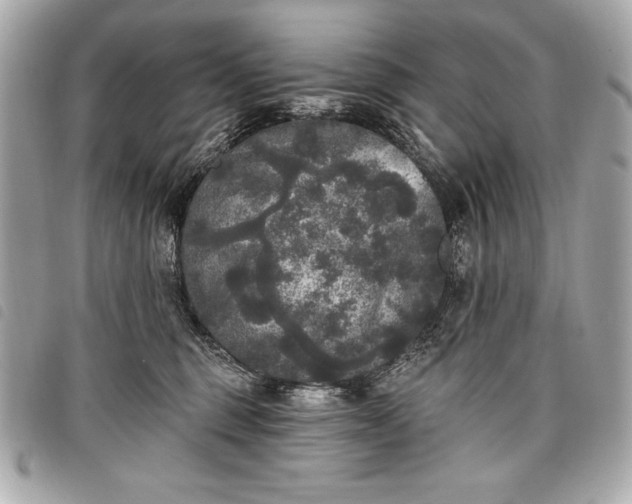 X0000098010375200804071334