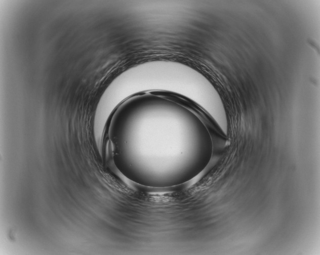 X0000098010376200804071334