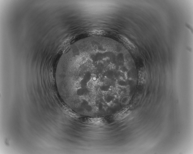 X0000098010377200804071334