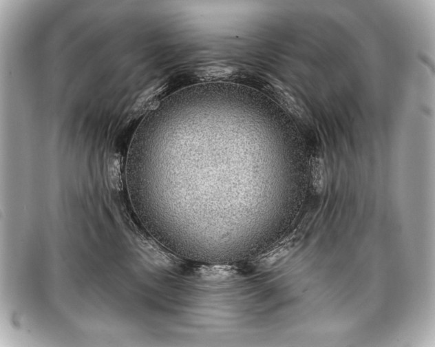 X0000098010378200804071334