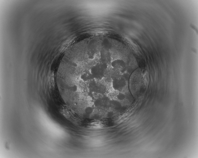 X0000098010381200804071334