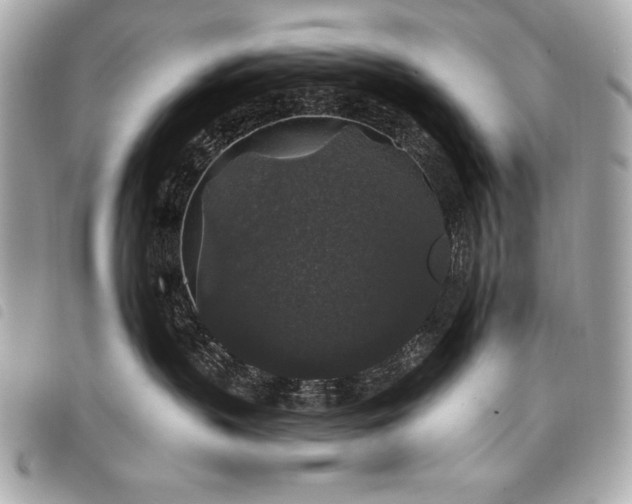 X0000098010383200804071334