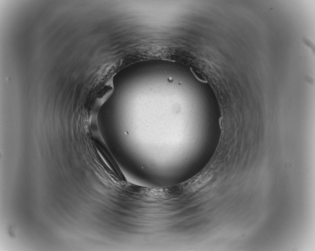 X0000098010384200804071334