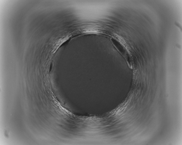 X0000098010385200804071333