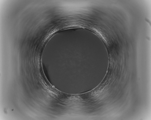 X0000098010386200804071333