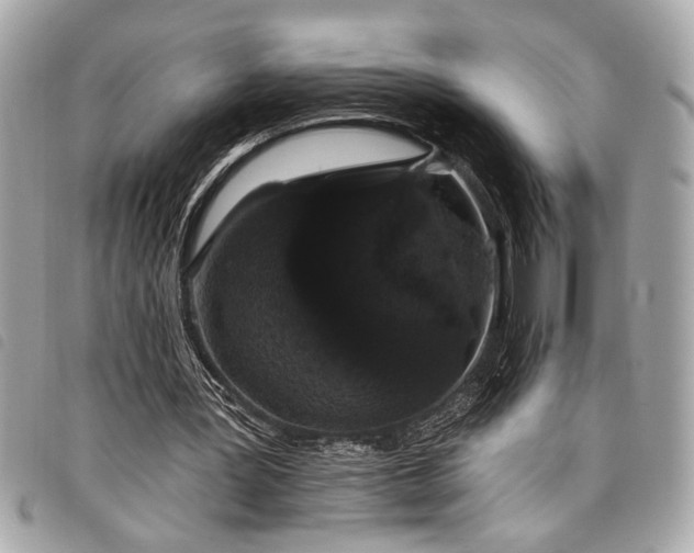 X0000098010387200804071333